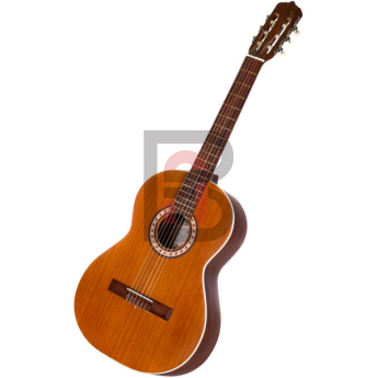 گیتار پارسی مدل M5